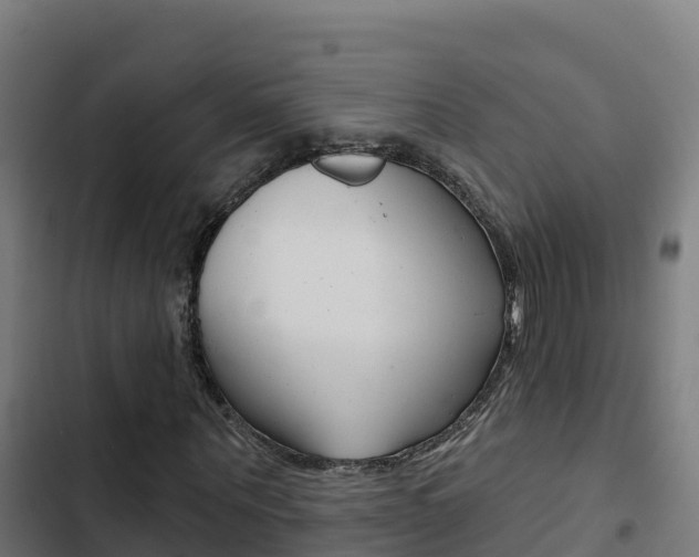 X0000103440867200809121059