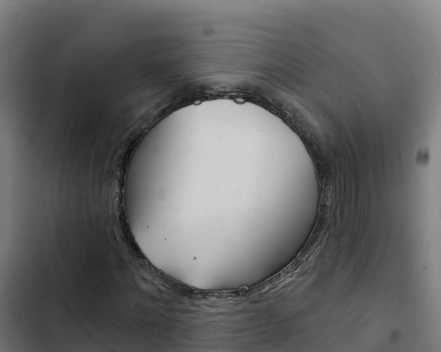 X0000103440868200809121059