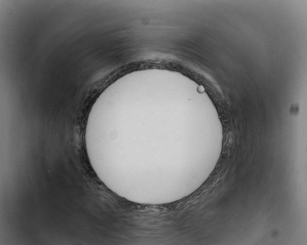 X0000103440869200809121059