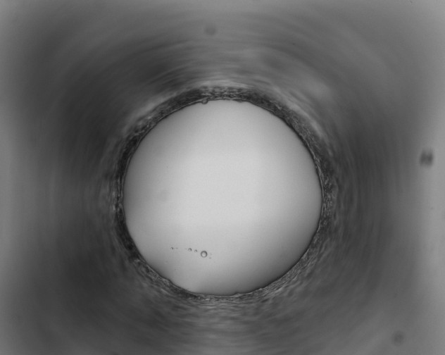 X0000103440870200809121059