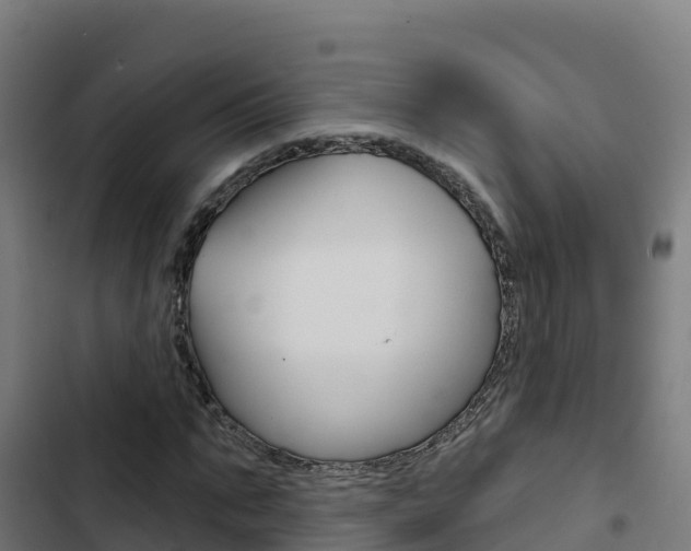 X0000103440871200809121059