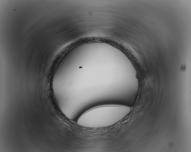 X0000103440872200809121059