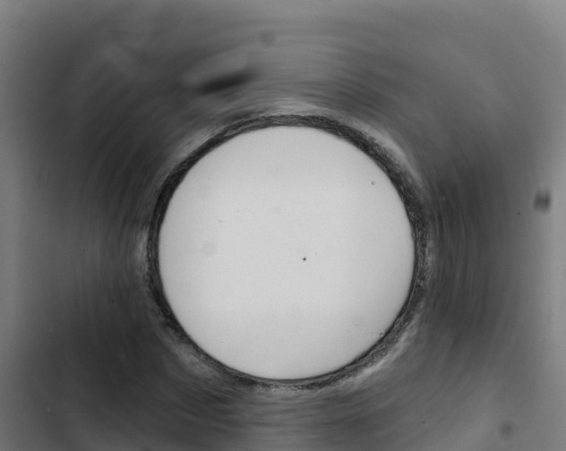 X0000103440873200809121059