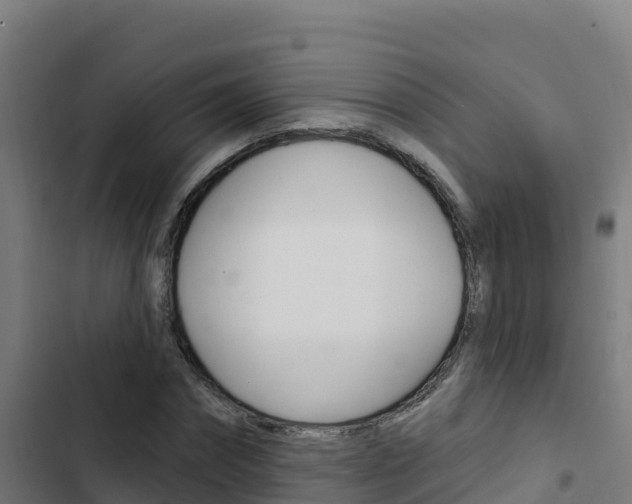 X0000103440874200809121059