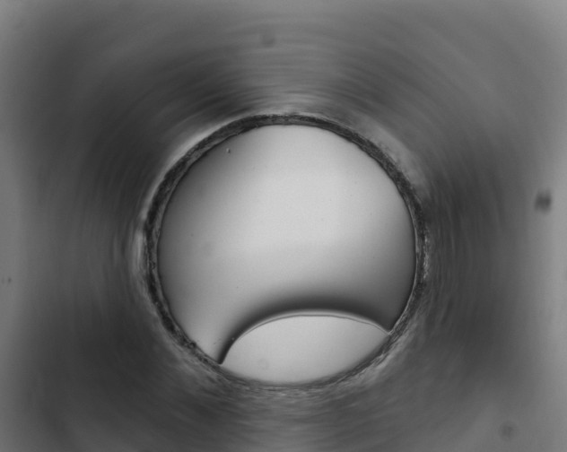 X0000103440876200809121059