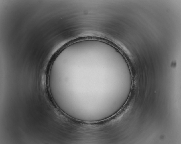 X0000103440877200809121058