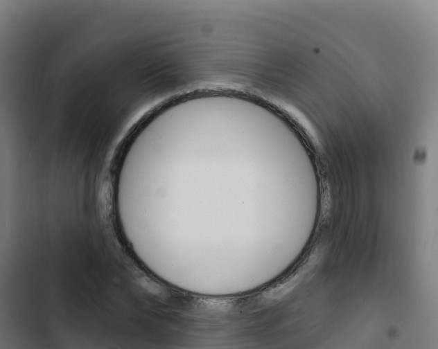 X0000103440878200809121058