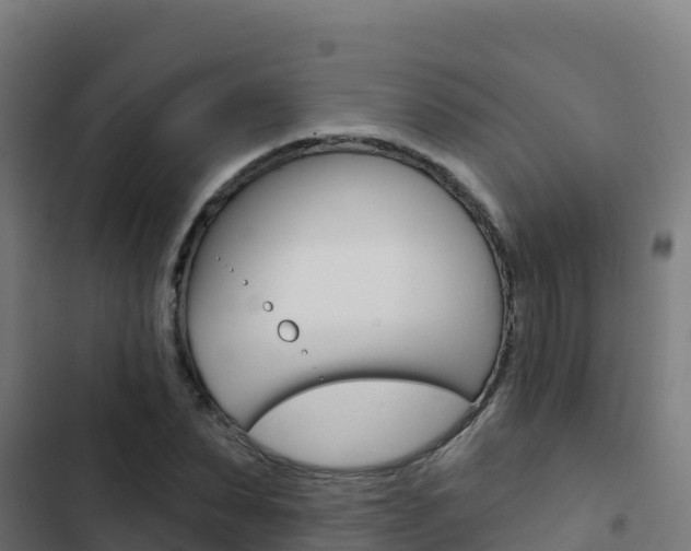 X0000103440879200809121058