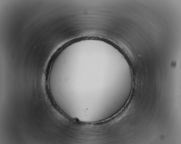 X0000103440880200809121058