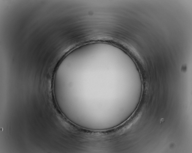 X0000103440881200809121058