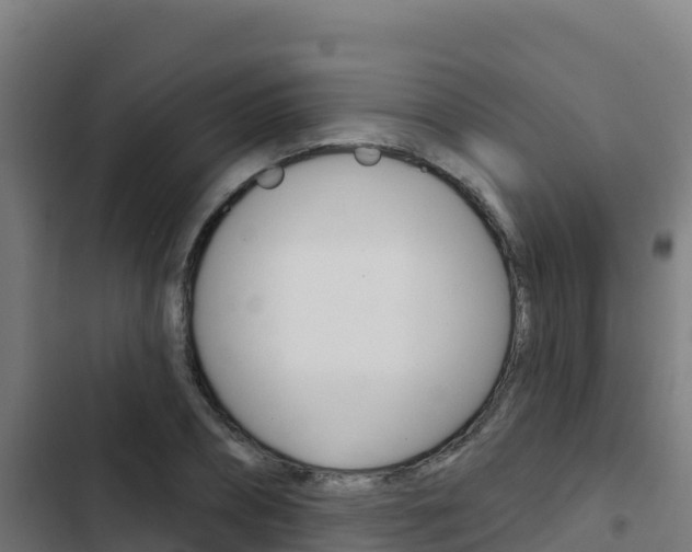 X0000103440882200809121058