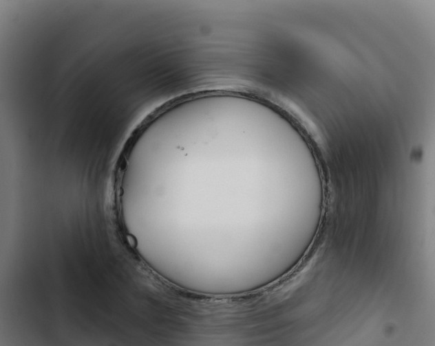 X0000103440883200809121058