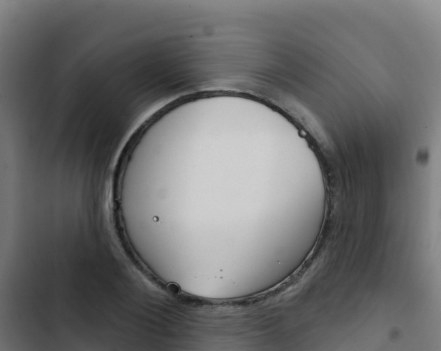 X0000103440884200809121058