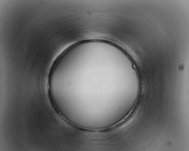 X0000103440885200809121058
