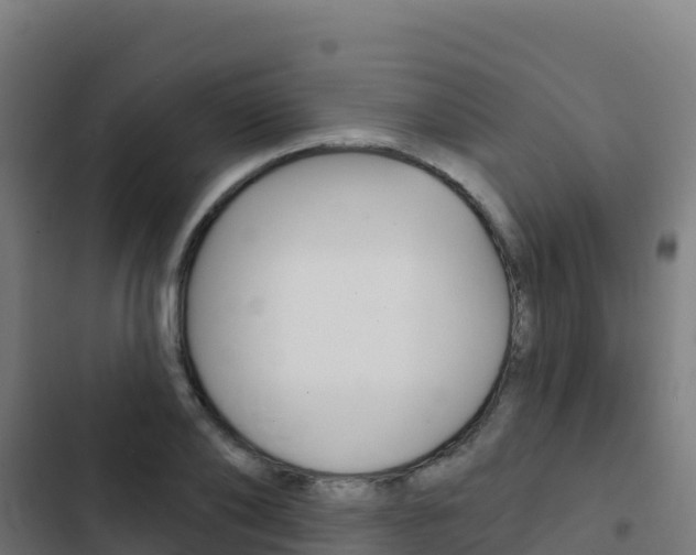 X0000103440886200809121058