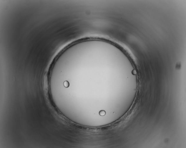 X0000103440887200809121058