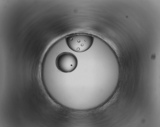 X0000103440888200809121058