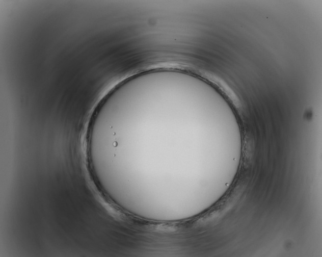 X0000103440890200809121058