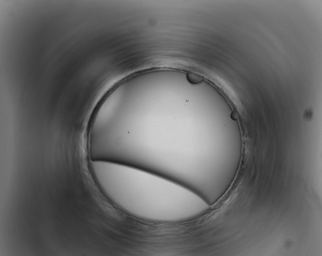 X0000103440891200809121058