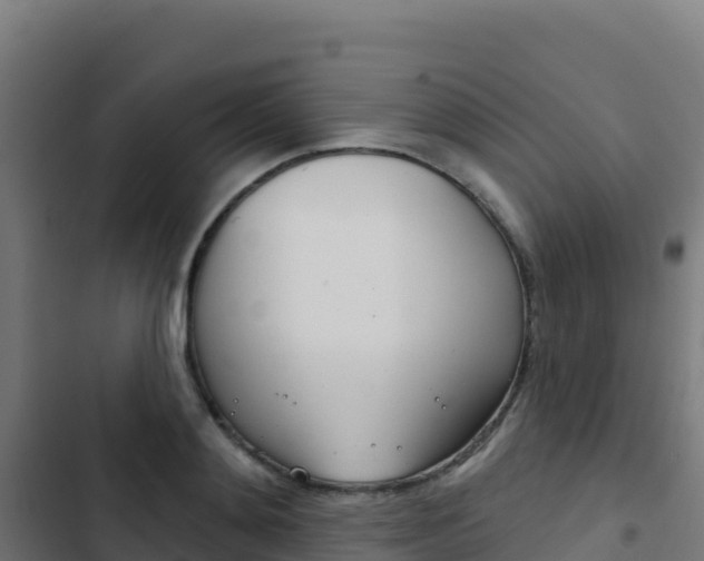 X0000103440892200809121058
