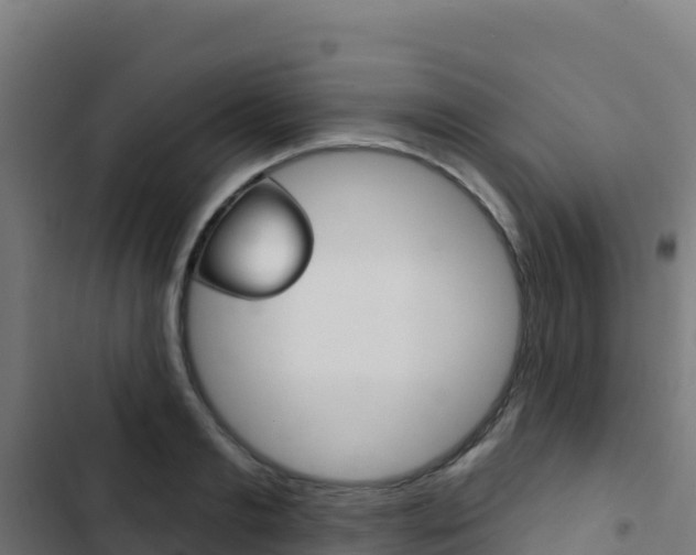 X0000103440893200809121058