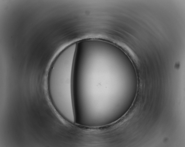 X0000103440894200809121058