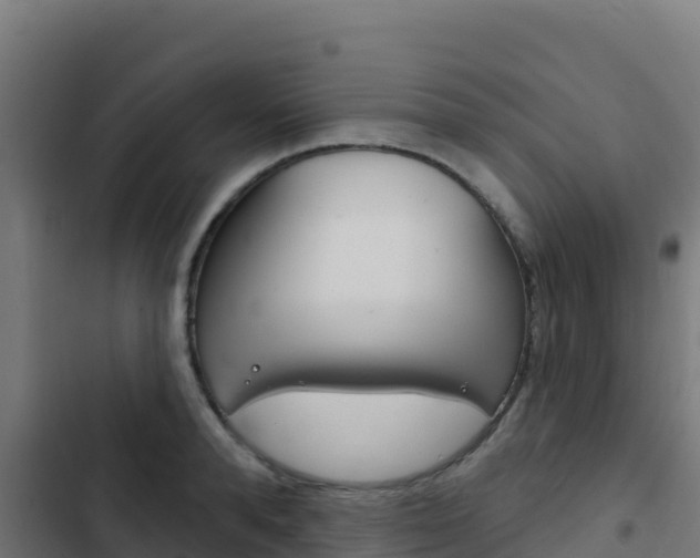 X0000103440896200809121058