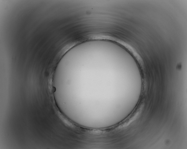 X0000103440897200809121058