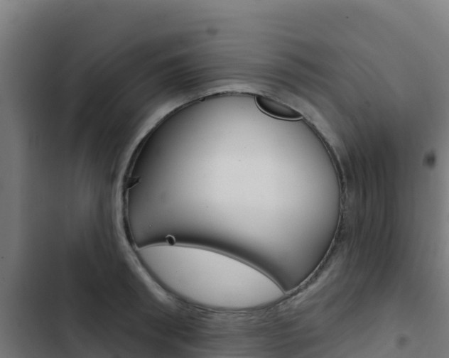 X0000103440898200809121058
