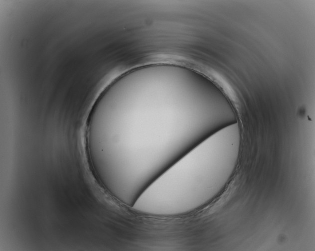 X0000103440899200809121058