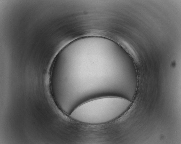 X0000103440900200809121058