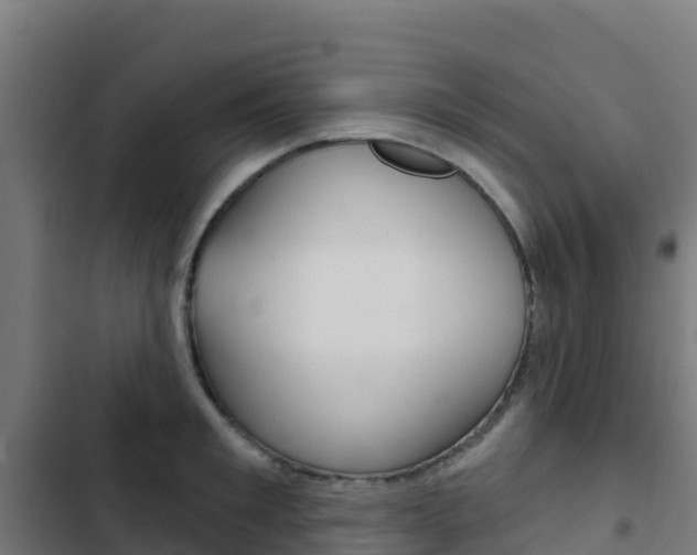 X0000103440901200809121058