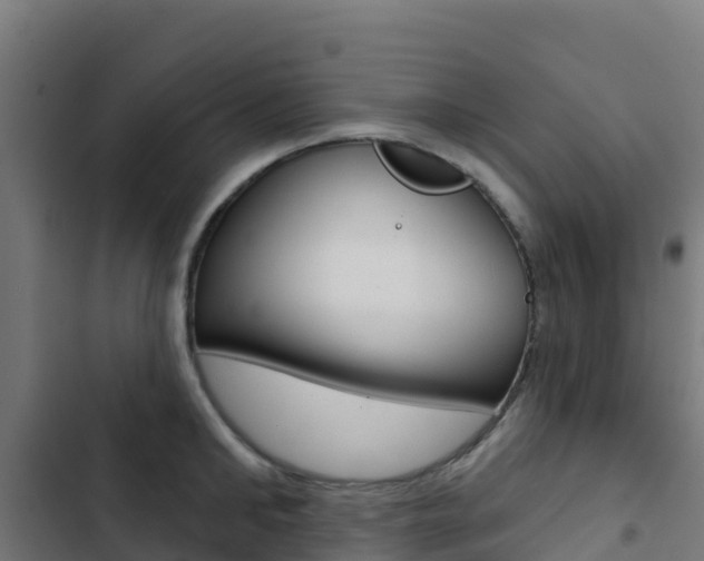 X0000103440902200809121058