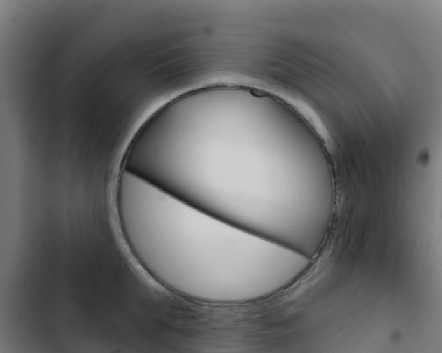 X0000103440903200809121058
