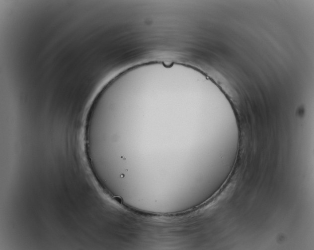 X0000103440904200809121058
