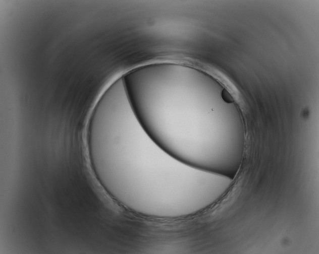 X0000103440907200809121058