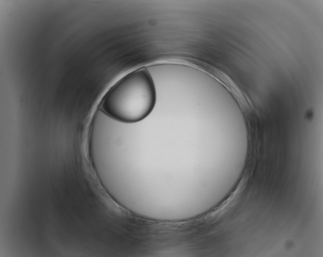 X0000103440908200809121058