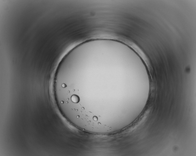 X0000103440909200809121058
