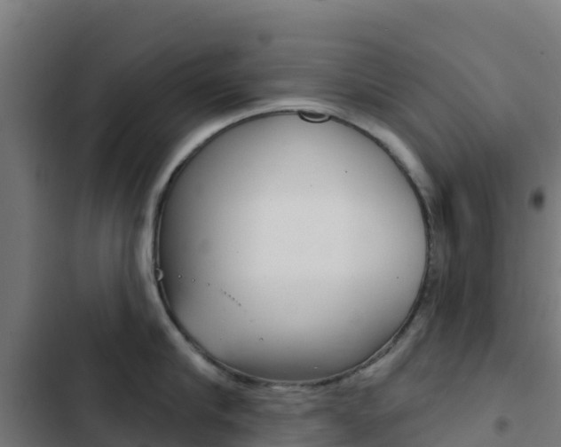X0000103440910200809121058