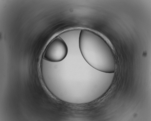 X0000103440911200809121058