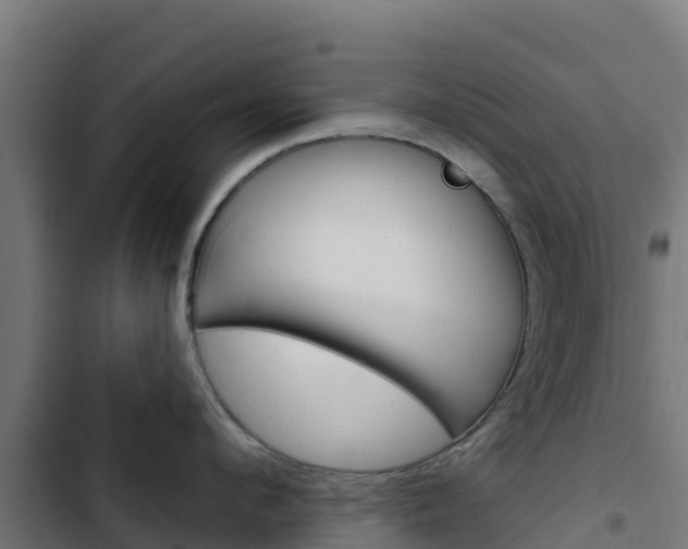 X0000103440912200809121058