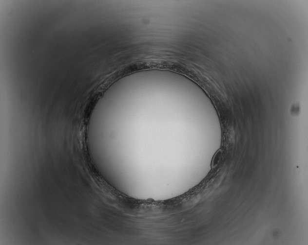 X0000103440914200809121057