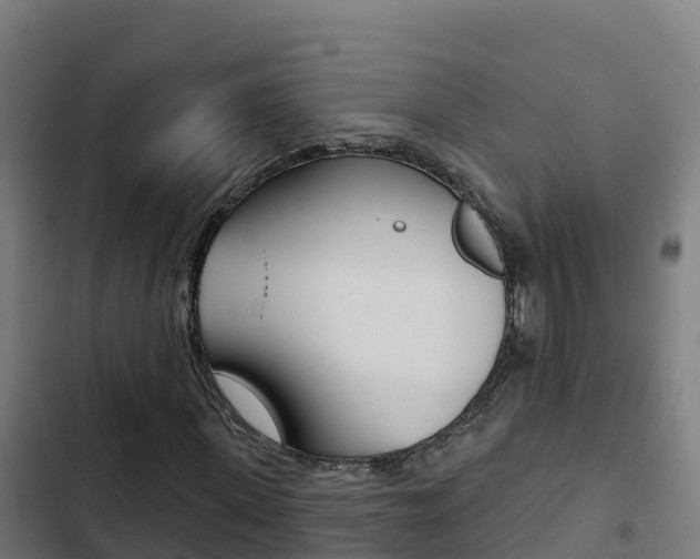 X0000103440915200809121057