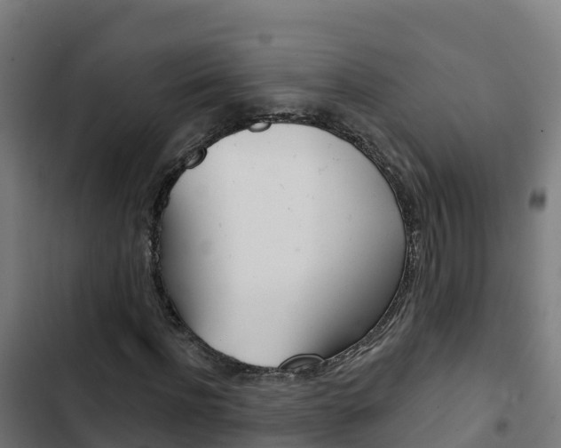 X0000103440916200809121057