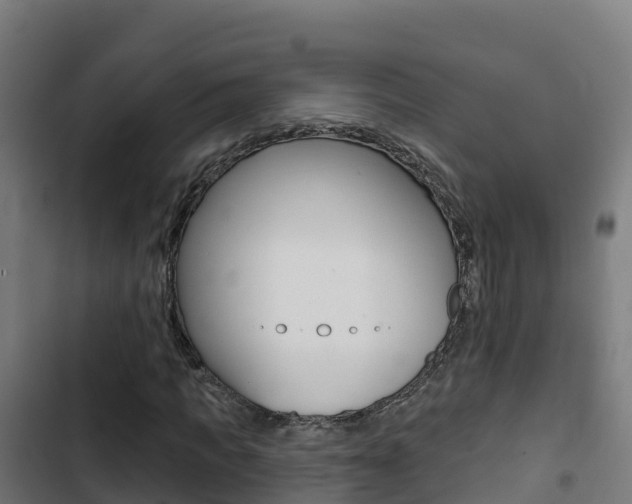 X0000103440917200809121057