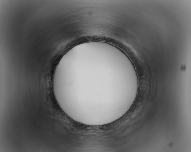 X0000103440918200809121057