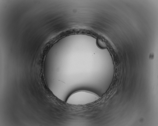 X0000103440919200809121057