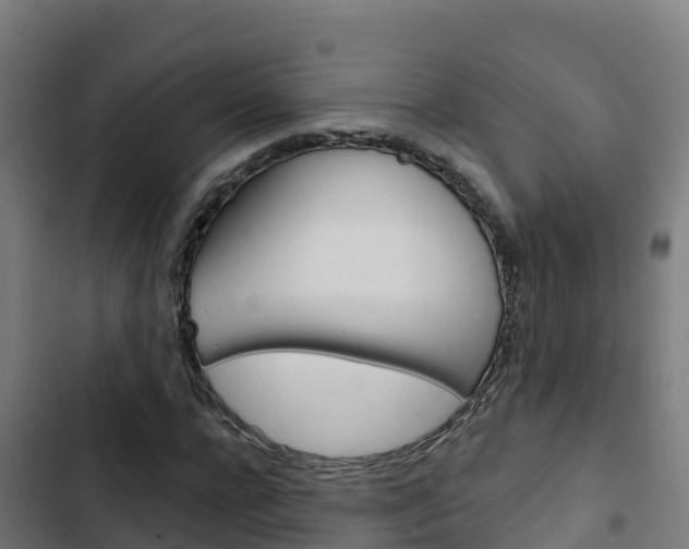X0000103440920200809121057