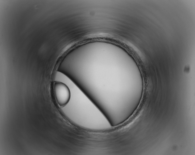X0000103440921200809121057