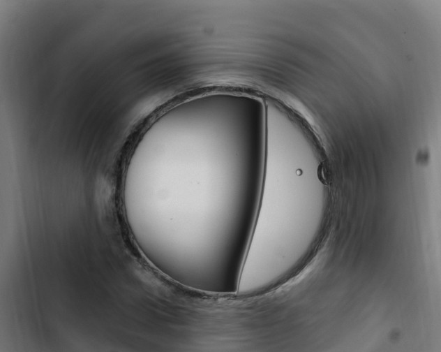 X0000103440922200809121057
